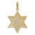 14K w/Rhodium Solid Mesh Star Of David Charm