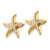 14k w/Rhodium Starfish Post Earrings - K9-C9333DD0-2699