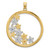 14k w/Rhodium Stars in Round Frame Charm