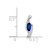 14k White Gold .01ct Diamond and .33 Sapphire Pendant