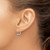14k White Gold 4mm Round December/Blue Topaz Leverback Earrings