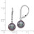 14k White Gold 8-9mm Black Round Freshwater Cultured Pearl and .05 Carat Diamond Dangle Leverback Earrings