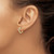 14k 1/5 carat Lab Grown Diamond VS/SI+ G+ Complete Hinged Hoop Earrings - EM-D9DA8EB9-4614