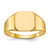 14k 11.0x11.0mm Closed Back Mens Signet Ring