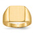 14k 11.0x11.5mm Closed Back Signet Ring