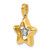 14k with White Rhodium Polished Star In Star Dangle Charm