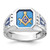 IBGoodman 14k White Gold Men's Polished and Textured with Blue Enamel and Lab Created Sapphire Blue Lodge Master Masonic Ring