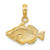 14K 2-D  Engraved Striped Fish Charm