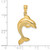 14K 2-D Polished Dolphin Jumping Charm - K7-916D69D7-1597