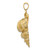 14K 2-D Precious Wentletrap Shell Charm