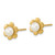 14k 3-4mm White Button Freshwater Cultured Pearl Flower Post Earrings