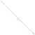 Sterling Silver Box Chain 9in Plus 1in Dolphin Anklet
