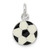 Sterling Silver Enameled Soccer Ball Charm - QC-DEE065E6-6669