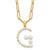 Sterling Silver Gold-plated 3-5.5mm White Button Freshwater Cultured Pearl LETTER G 18 inch Necklace