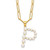 Sterling Silver Gold-plated 3-5.5mm White Button Freshwater Cultured Pearl LETTER P 18 inch Necklace