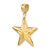 14K 3-D Nautical Star Charm