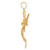 14K 3-D Polished Textured Sailfish Charm