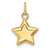 14k 3-D Puffed Star Charm