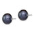 Sterling Silver Rhodium-plated 12-13mm Black Button Freshwater Cultured Pearl Post Earrings