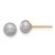 14k 5-6mm Grey Button Freshwater Cultured Pearl Stud Post Earrings