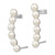 Sterling Silver Rhodium-plated 5-6mm White Button Freshwater Cultured Pearl Post Ear Climber and Cuff Earrings