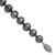 Sterling Silver Rhodium-plated 8-9mm Black Near-Round Freshwater Cultured Pearl 7.25 inch Bracelet