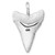 Sterling Silver Rhodium-Plated Brushed and Polished Great White Shark Tooth Pendant