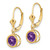 14k 6mm Amethyst Leverback Earrings - XL-4D2FEB30-4482