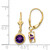 14k 6mm Amethyst Leverback Earrings - XL-4D2FEB30-4482
