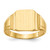 14k 7.5x9mm Closed Back Signet Ring