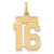 Sterling Silver/Gold-plated Satin Number 16 Charm