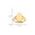 14k 8.5x14.5mm Closed Back Signet Ring