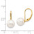 14k 8-9mm White Round Akoya Saltwater Cultured Pearl Leverback Earrings
