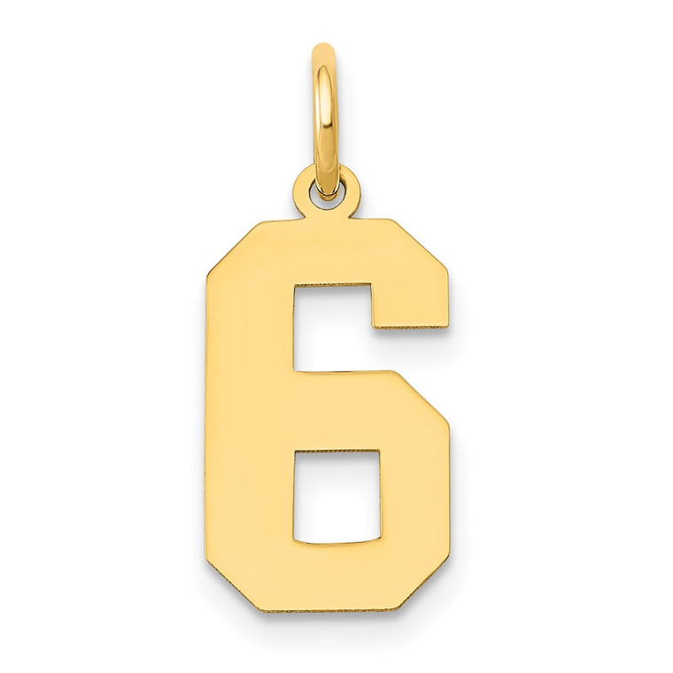 14k Medium Polished Number 6 Charm - LM-64405449-2234
