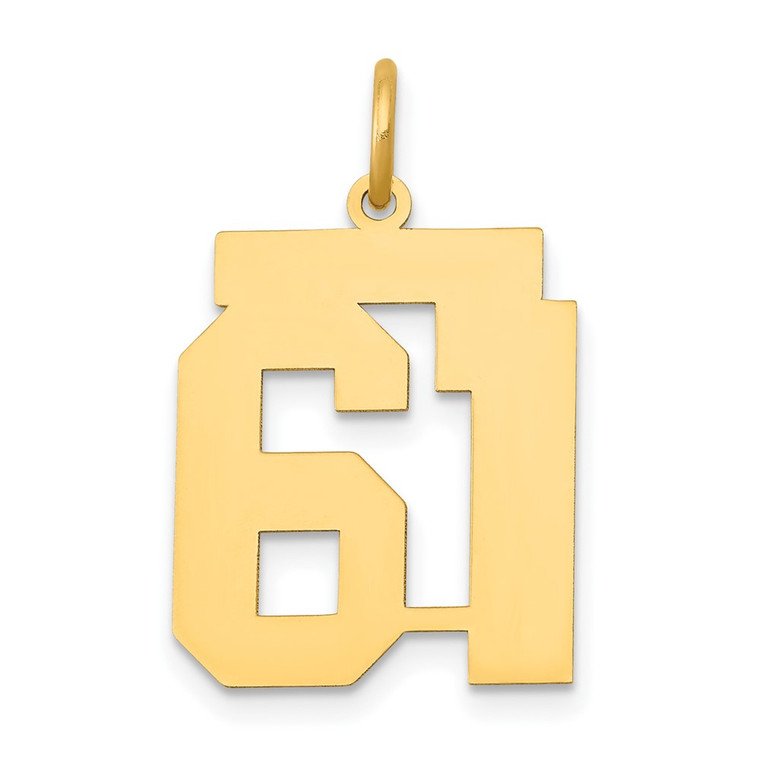 14k Medium Polished Number 61 Charm
