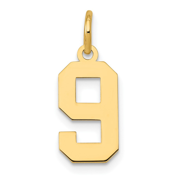 14k Small Polished Number 9 Charm - LS-E96B0B79-5328