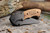 Personalized pocket knife with custom name engraving, Christmas gift for dad from kids, Father's Day gift for husband, and unique birthday gift for father.