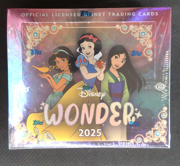 Disney Wonder Hobby Box