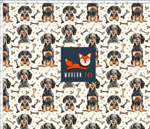 DG68 - Adorable Dachshund