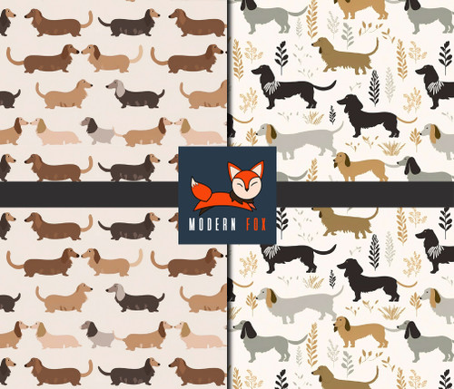 DG71 - Adorable Dachshund Dog