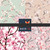 FLW284 - Cherry Blossom