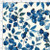 BBRY1 - Blueberry