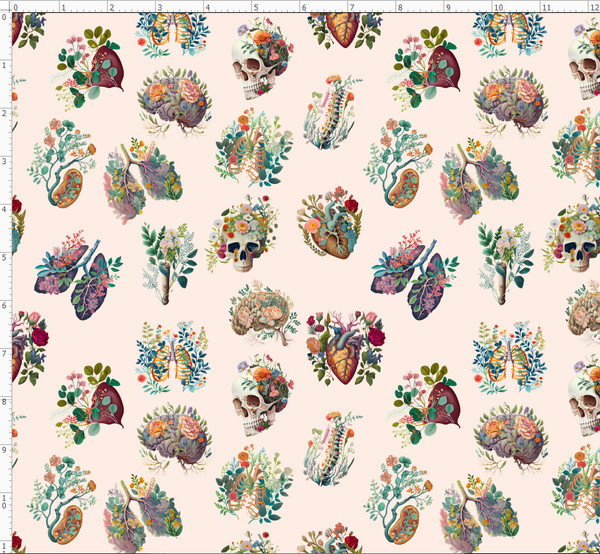 Anatomy Floral  (MED34)