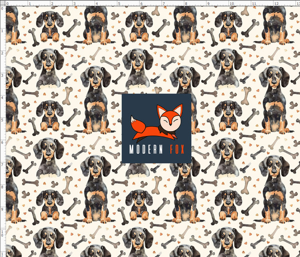 DG68 - Adorable Dachshund