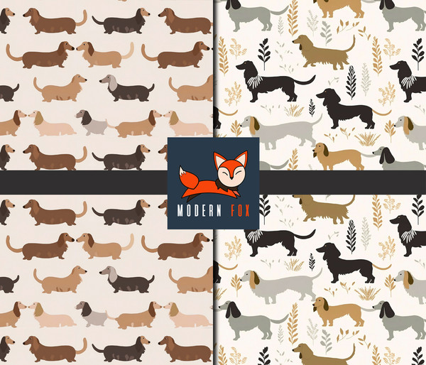 DG71 - Adorable Dachshund Dog