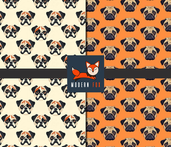 DG72 - Adorable Pug Dog