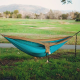 Guadalupe Hammock