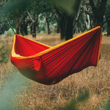 Manchaca Hammock