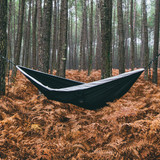 Manchaca Hammock