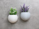 Textured Sphere/Globe Indoor Wall Planter, Wall Plant Pot, Wall Hanging, Home Decor, Plant Homeware, New Home Gifts, Wall Art, New Home Gift